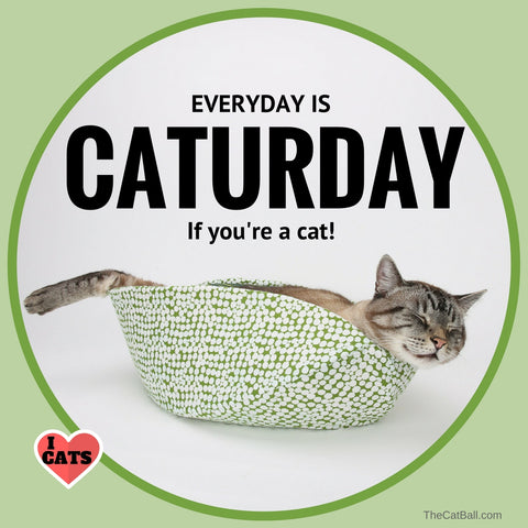 Caturday cat meme by The Cat Ball