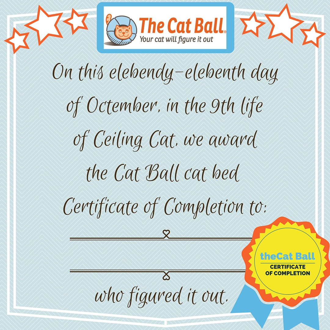 The Cat Ball certificate of completion and gold star