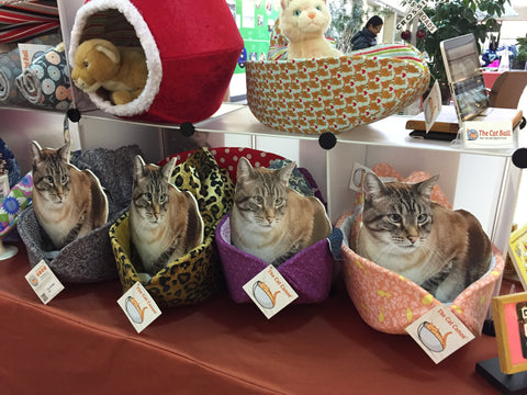 A display of Cat Canoe kitty beds and Flat Retro in Bellevue, Washington