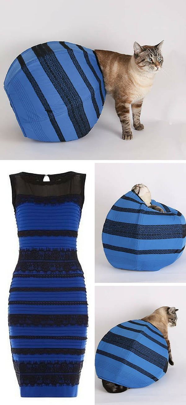 The Cat Ball cat bed takes on the dressgate challenge and decides that the viral dress is black and blue