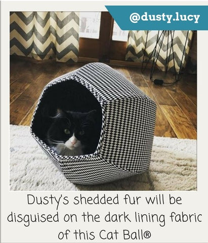 This cat looks good inside the Cat Ball cat bed. Photo by @dusty.lucy on Instagram