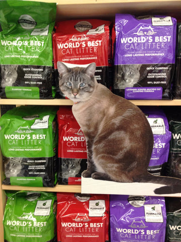 Flat Retro and World's Best Cat Litter