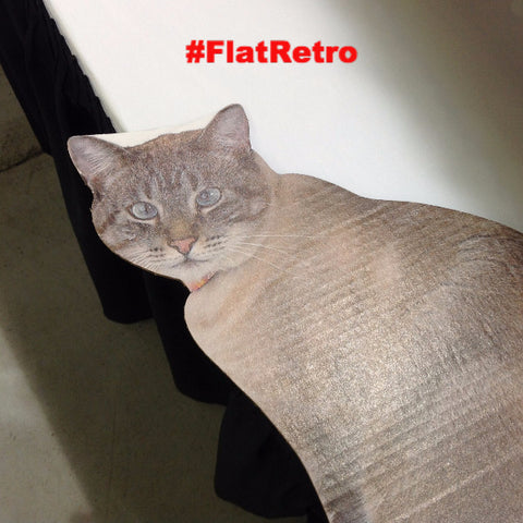 Flat Retro is a cat model for The Cat Ball, LLC