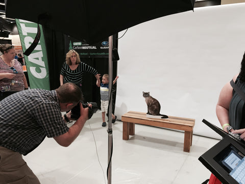 Flat Retro gets a pro photo taken at Seattle Pet Expo 2015