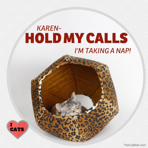 Cat meme by The Cat Ball - Hold my calls