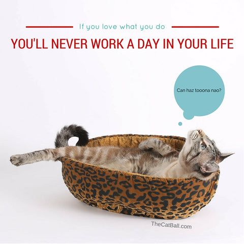Inspirational cat poster made by The Cat Ball