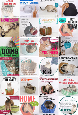 Inspirational cat posters made by The Cat Ball