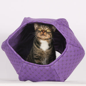 A tabby cat inside the Cat Ball cat bed