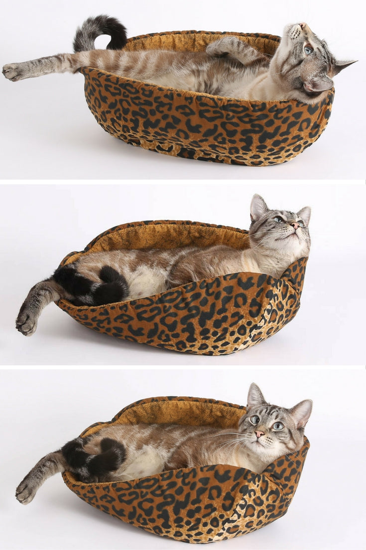 A Siamese cat lounges in the leopard Cat Canoe modern cat bed