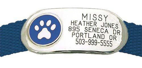Lucky Pet engraved collar ID tag lays flat on the pet's neck