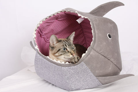 the shark CAT BALL cat bed is a funny photo prop