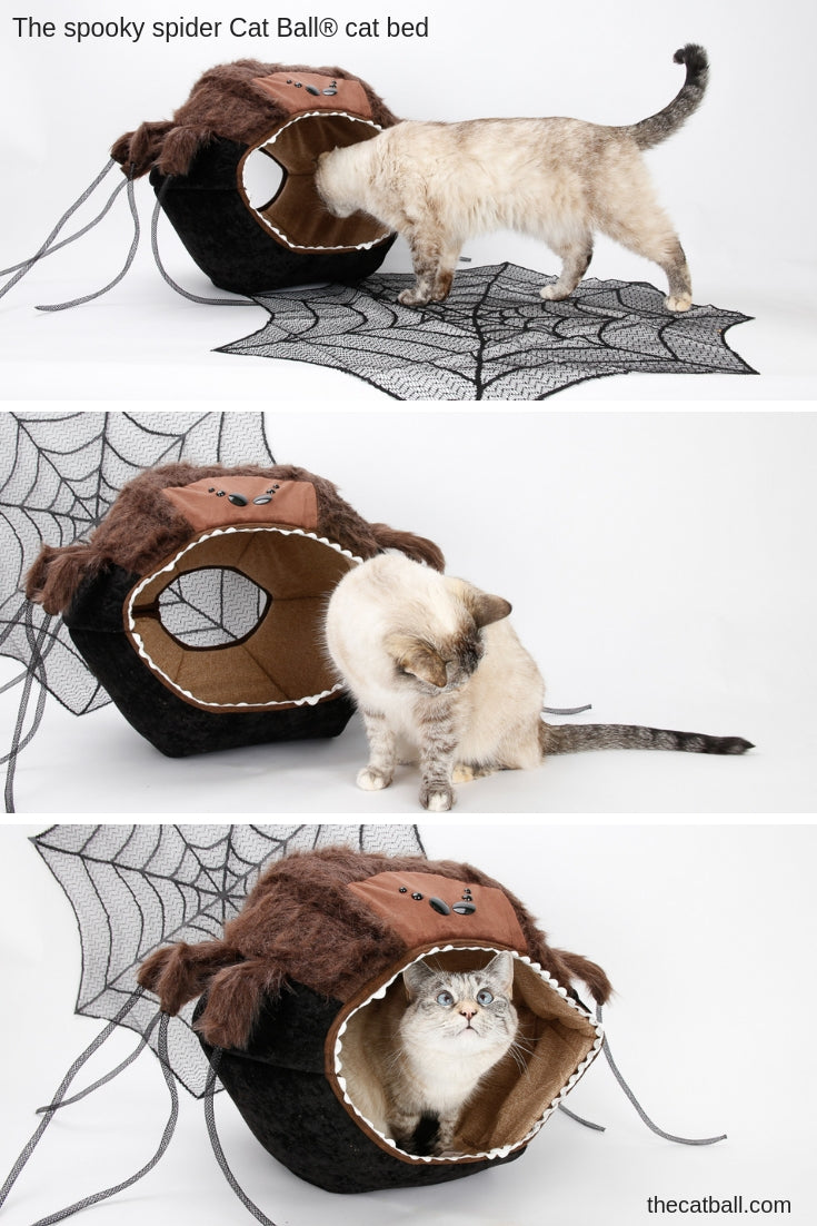 Spider Cat Ball a funny and scary novelty cat bed for Halloween