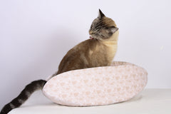 The Cat Canoe cat bed design