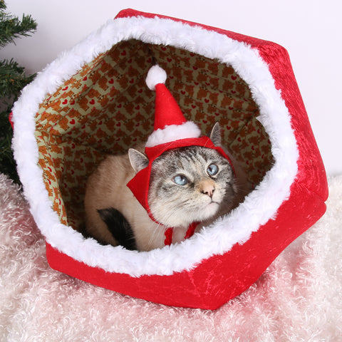 Tink is inside her Christmas Cat Ball cat bed, and wearing a cute santa hat