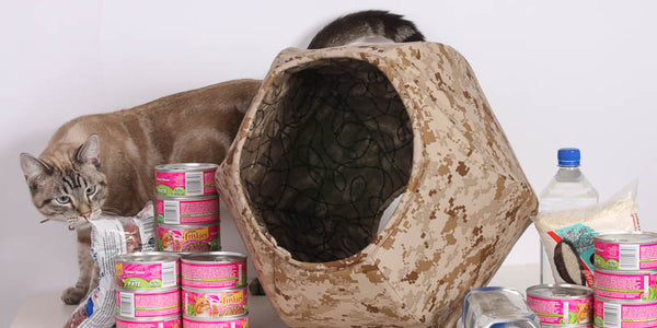  Cats, Zombies, Reality TV and the End of The World the Cat Ball cat bed prepper kitty bugout shelter