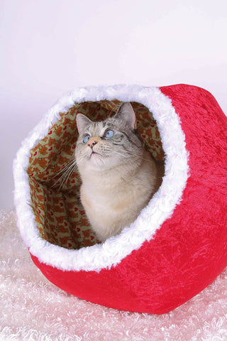Christmas theme cat bed made by The Cat Ball, LLC