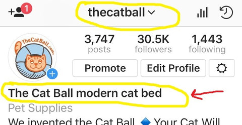 The Cat Ball Instagram page and how to use your Instagram Username to improve search