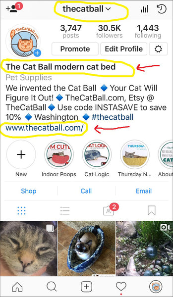 The Cat Ball Instagram profile page