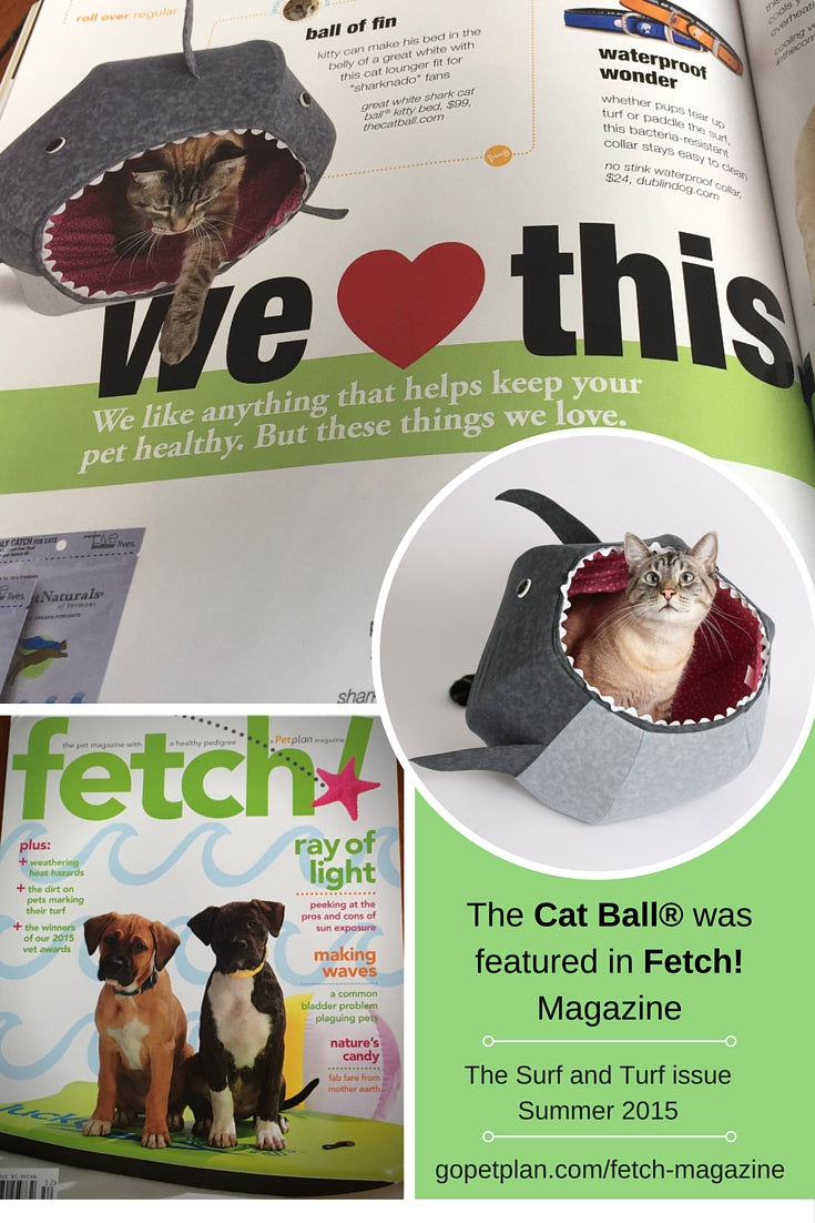 The Cat Ball cat bed in Fetch magazine by PetPlan