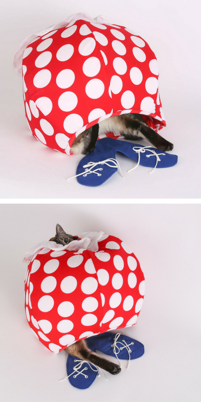 The Clown Cat Ball is a funny cat bed cat bed design created by The Cat Ball, LLC.