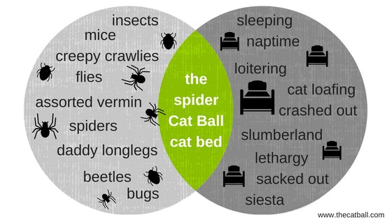 Venn Diagram demonstrating the relationship between spiders and cat beds. By The Cat Ball, LLC
