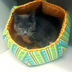 Mimosa at Anjellicle Cats Rescue in the Cat Ball 