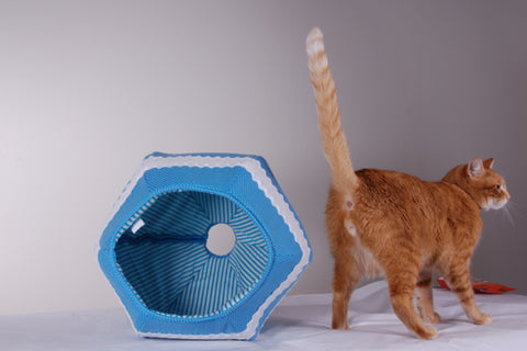 The Cat Ball cat bed design