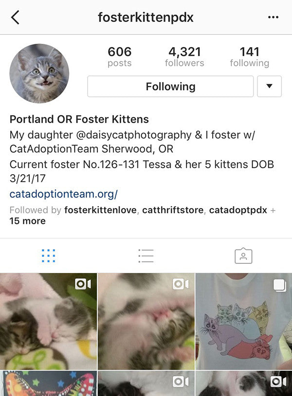 @fosterkittenpdx fosters kittens for Cat Adoption Team in Sherwood, OR