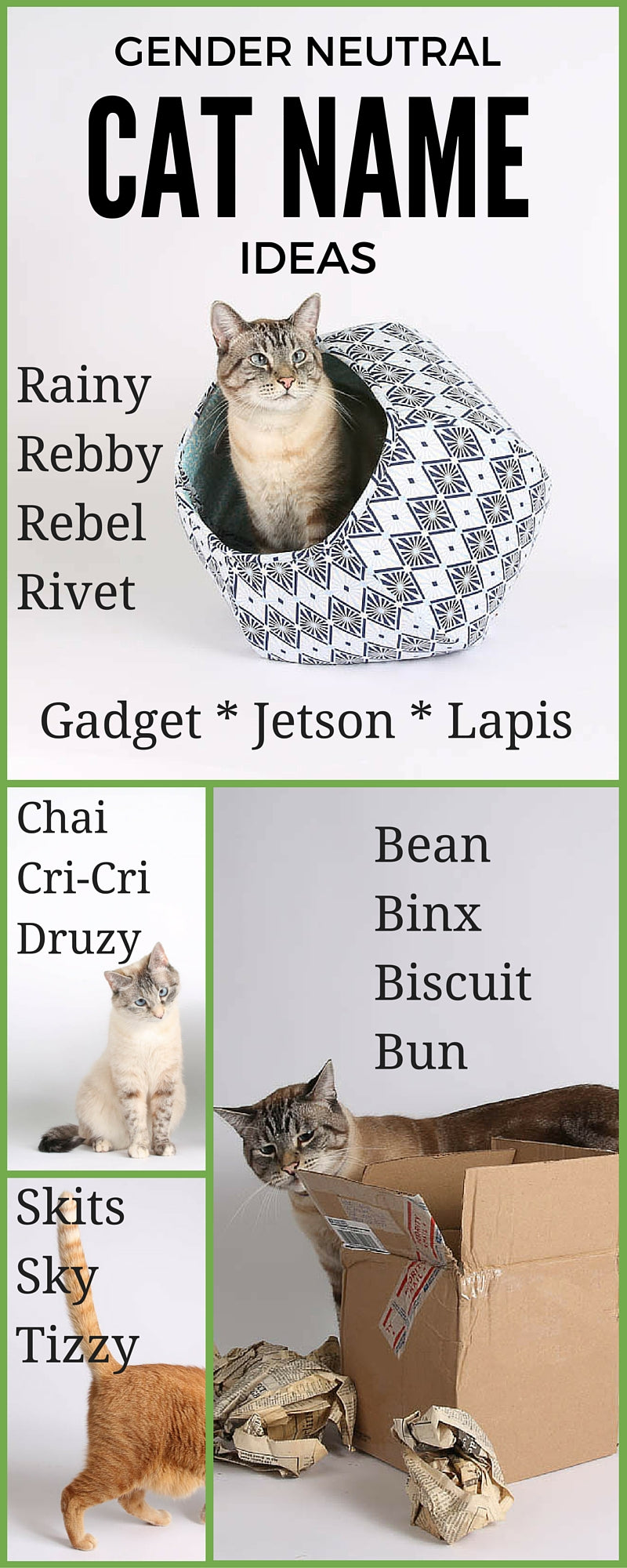 Ideas for gender neutral cat names
