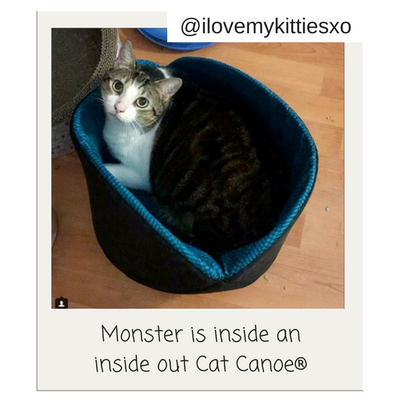 Cat inside a jumbo Cat Canoe. Photo by @ilovemykittiesxo