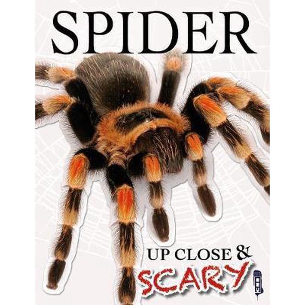 Up Close and Scary Spider