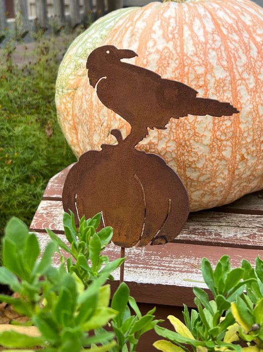 EG-PRP Rusty Raven on Pumpkin Pick