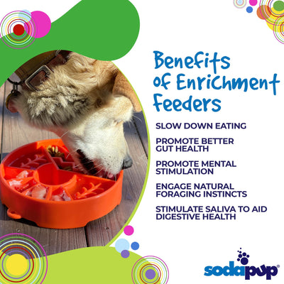Sodapup - eBowl Enrichment Slow Feeder Bowl for Dogs - Forest - Toys - Sodapup - Shop The Paw