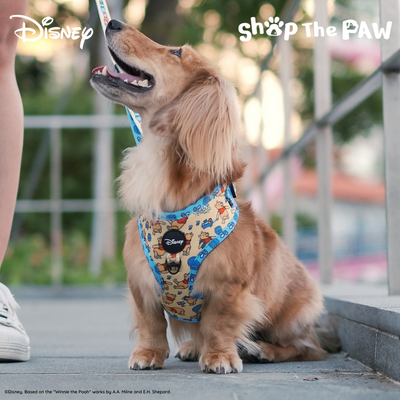 Disney Adjustable Harness | Winnie The Pooh - Pet Collars & Harnesses - Disney/Pixar - Shop The Paw