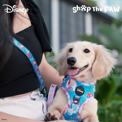 Disney Adjustable Harness | Ariel The Little Mermaid - Pet Collars & Harnesses - Disney/Pixar - Shop The Paw