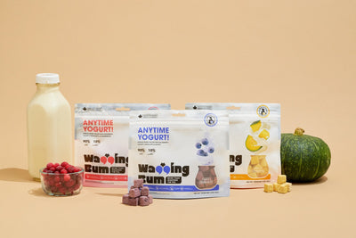 WaggingBum ANYTIME YOGURT! Freeze-dried Yogurt |Pumpkin - Dog Treats - WaggingBum - Shop The Paw