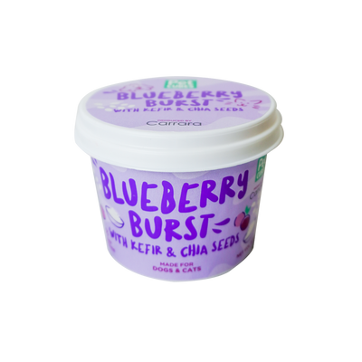 PetCubes Blueberry Burst 3.5oz - Treats - PetCubes - Shop The Paw