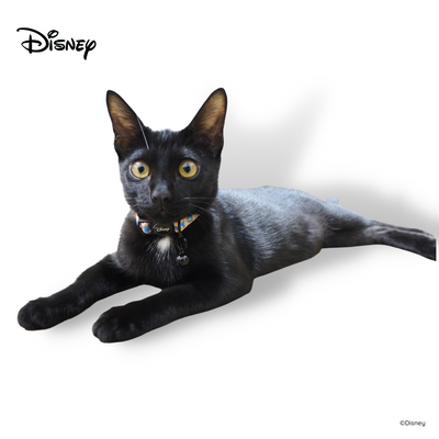 Disney Cat Collar | Winnie The Pooh - Blue - Pet Collars & Harnesses - Disney/Pixar - Shop The Paw
