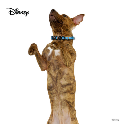 Disney Dog Collar | Foodie Stitch - Blue - Pet Collars & Harnesses - Disney/Pixar - Shop The Paw