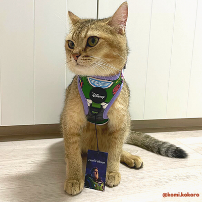 Pixar Adjustable Harness | Buzz Lightyear - Pet Collars & Harnesses - Disney/Pixar - Shop The Paw