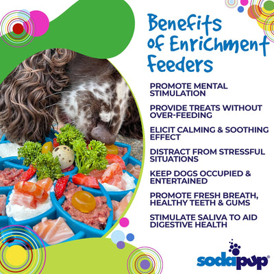 Sodapup - eTray (Enrichment Tray) - Mandala Green - Toys - Sodapup - Shop The Paw