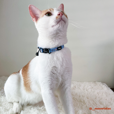 Disney Cat Collar | Foodie Stitch - Blue - Pet Collars & Harnesses - Disney/Pixar - Shop The Paw