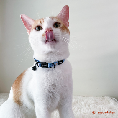 Disney Cat Collar | Foodie Stitch - Blue - Pet Collars & Harnesses - Disney/Pixar - Shop The Paw