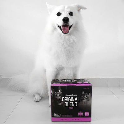 Organic Paws Frozen Raw Original Blend - Beef - Non-prescription Dog Food - Organic Paws - Shop The Paw