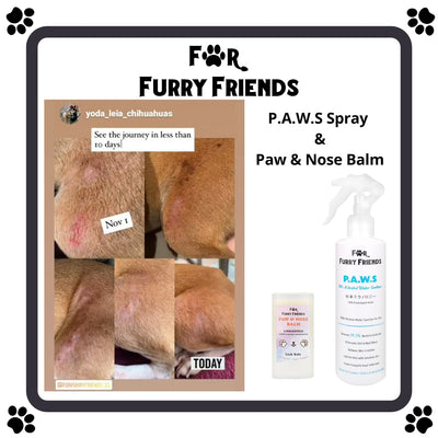 For Furry Friends Pet’s Activated Water Sanitizer (P.A.W.S) - Grooming - For Furry Friends - Shop The Paw
