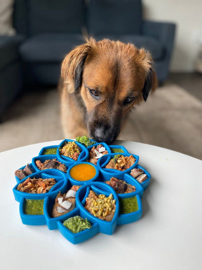 Sodapup - eTray (Enrichment Tray) - Mandala Pink - Toys - Sodapup - Shop The Paw