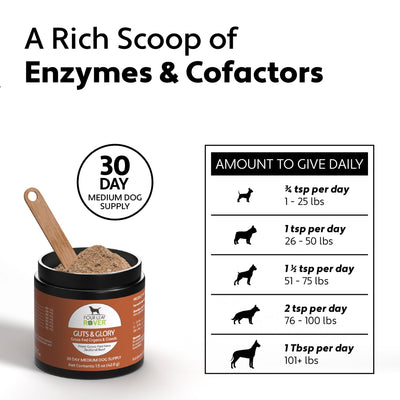 Four Leaf Rover Guts & Glory Grass-fed organs for Dogs - Supplement - Four Leaf Rover - Shop The Paw