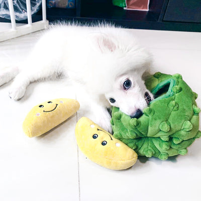 ShopThePaw - Durian Burrow Pet Toy (Special Season) | Toys | shopthepaw - Shop The Paws