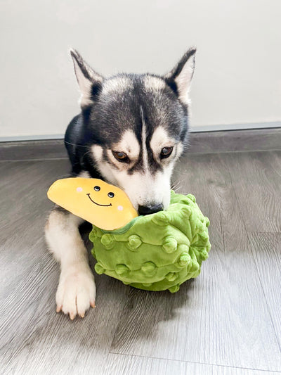 ShopThePaw - Durian Burrow Pet Toy (Special Season) | Toys | shopthepaw - Shop The Paws