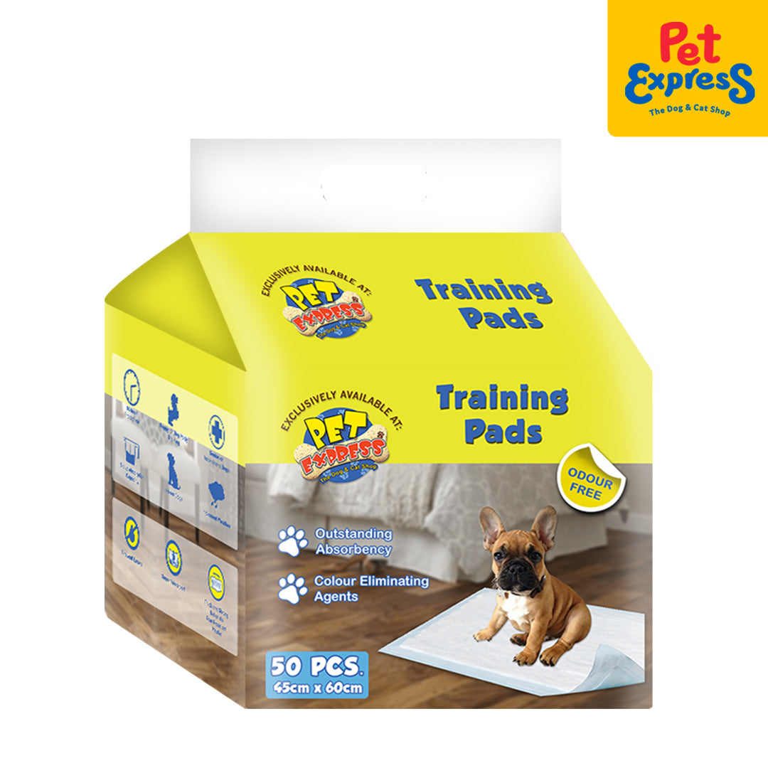 Buy PET GROOMING Best Price Online | Pet Express